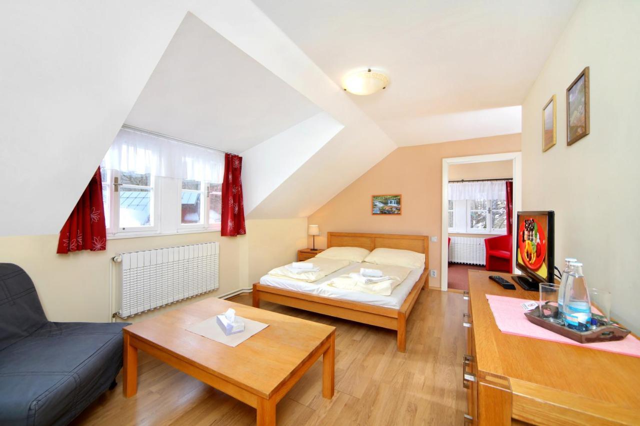 Hotel Erika Špindlerŭv Mlýn Luaran gambar